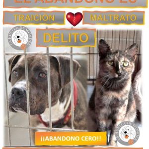 CAMPAÑA ABANDONO CERO HUELLA DE WONDER