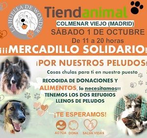 Mercadillo Solidario Tienda Animal el 01/09/2022
