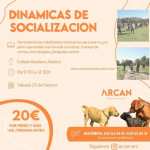 25-02-23 Nueva jornada de SOCIALIZACIÓN PERRETES con ARCAN