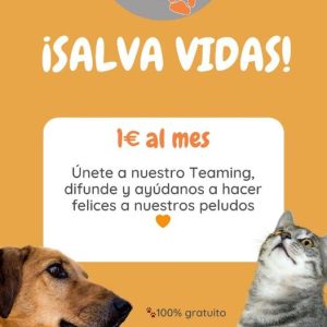TEAMING HUELA DE WONDER AYUDA COLABORACION DONACIONES