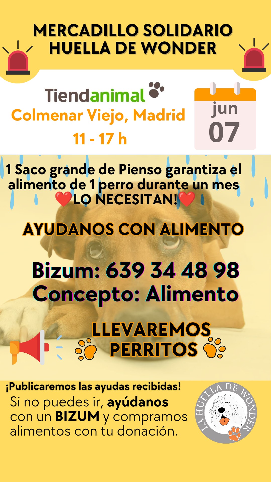 493022168_1036517648658748_6649699218724417361_n