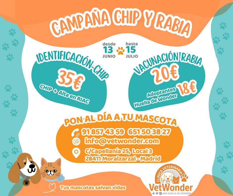 campaña vet wonder