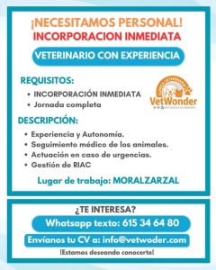 BUSCAMOS VETERINARIO MORALZARZAL