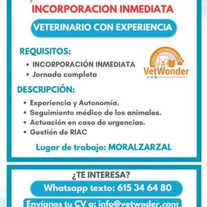BUSCAMOS VETERINARIO MORALZARZAL