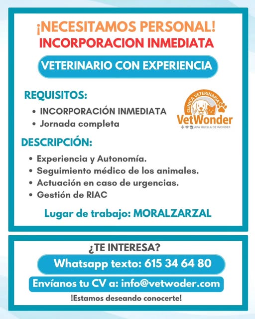 BUSCAMOS VETERINARIO MORALZARZAL