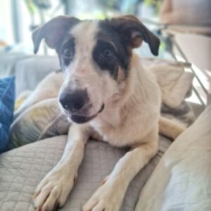 Zoe