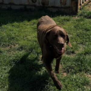 Zeus